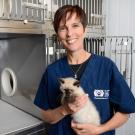 Dr. Kate Hurley is a pioneer in shelter medicine.