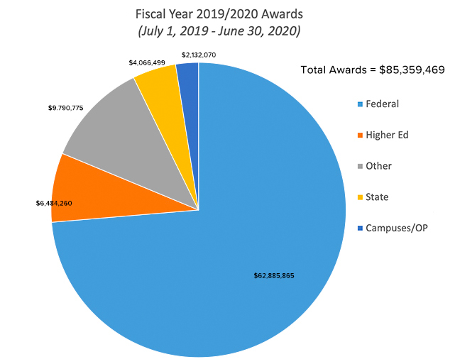 June 2020 Pie Chart