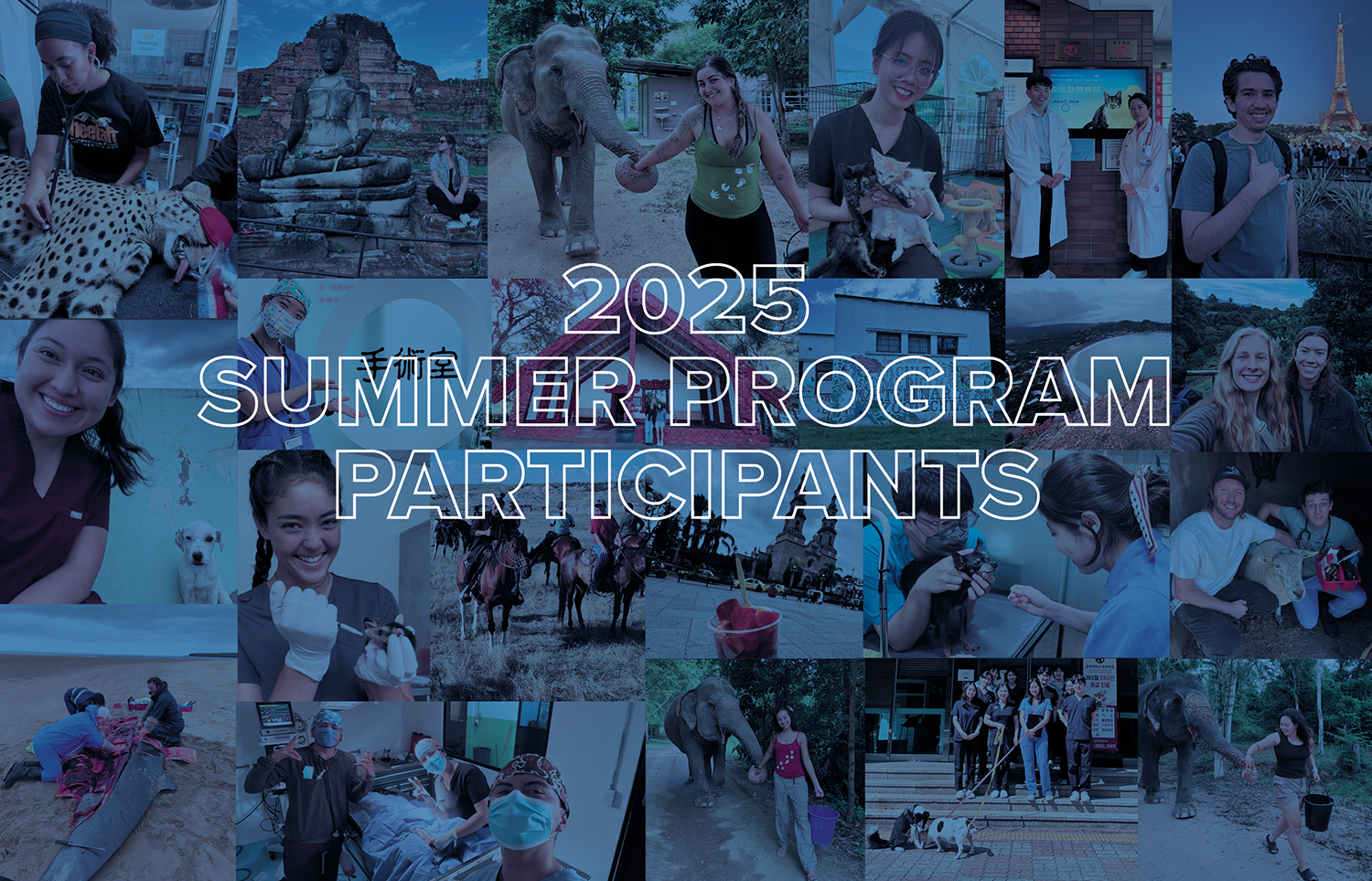 2025 Summer Program Participants