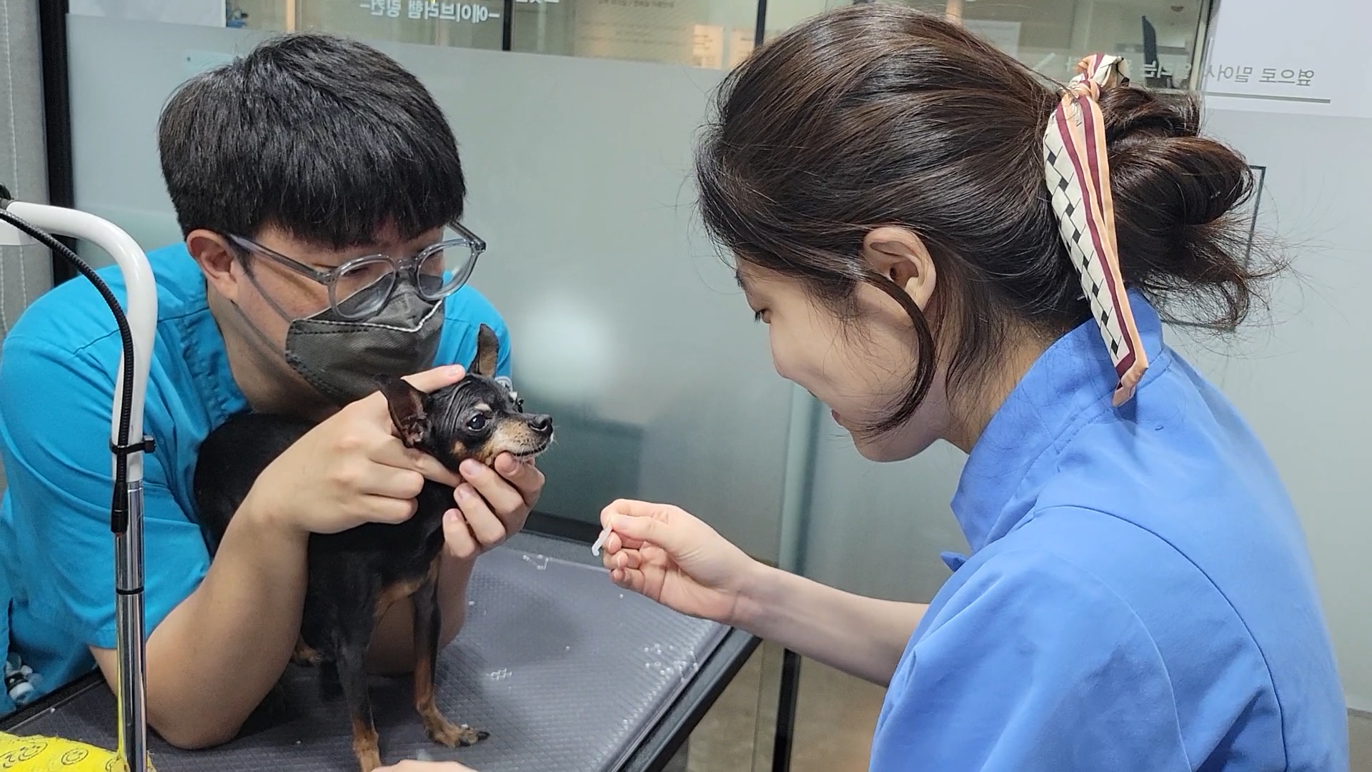 2025 Global Programs Student Presentation - Sooyoung-Lee.5