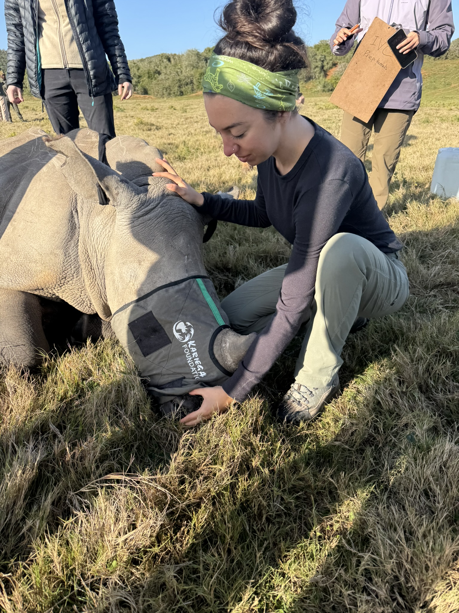 A vet with a rhino.