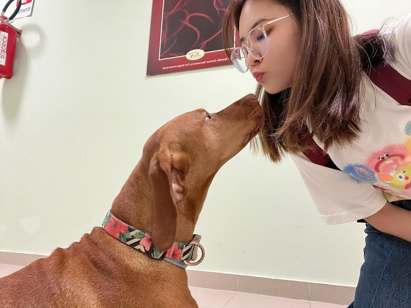 A person kissing a dog.