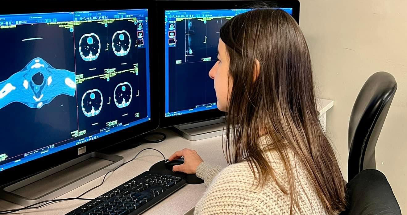 Imaging technician reviews a CT scan
