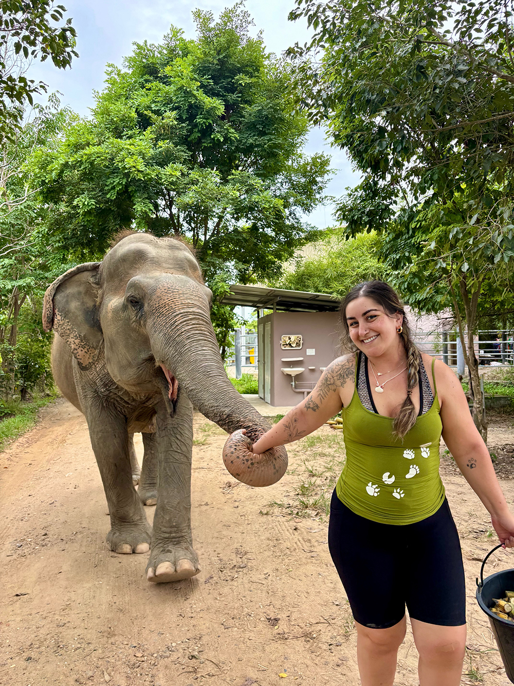 A person leading an elephant.
