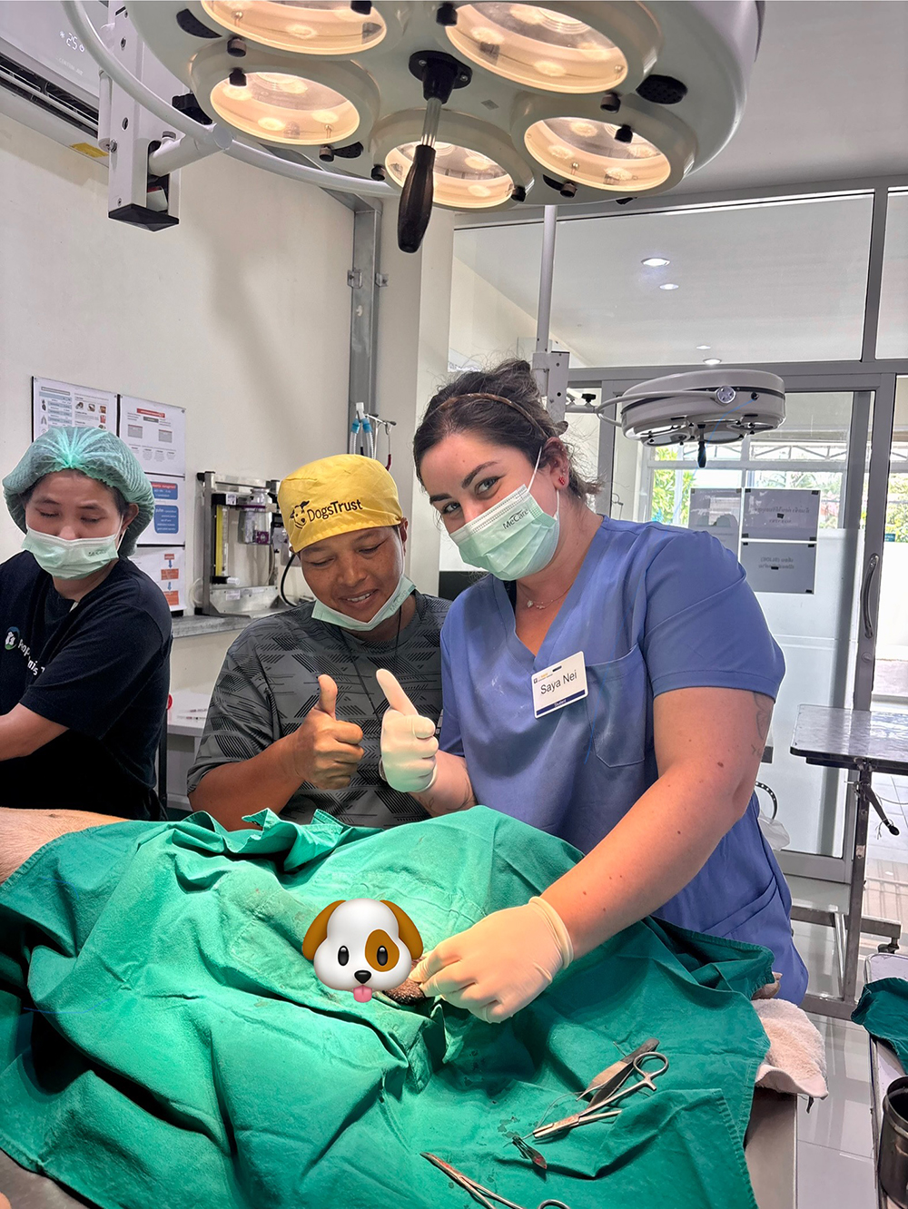 Vets in a clinic performing a procedure on a dog.