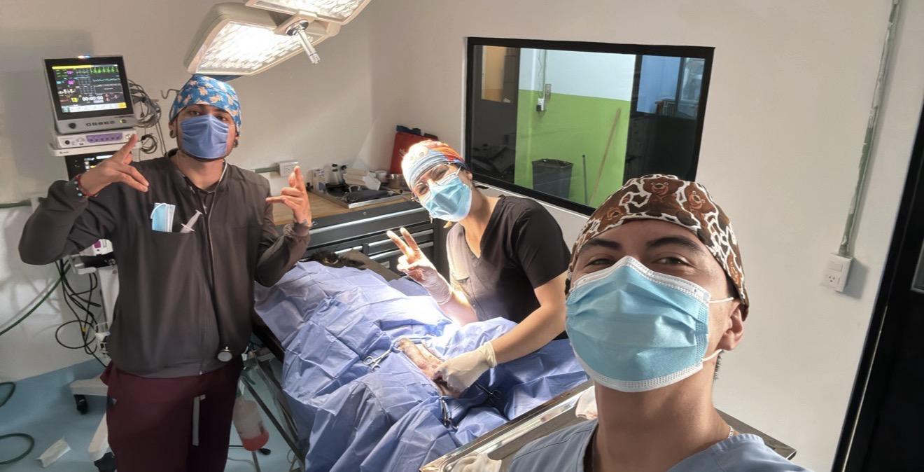 3 vets performing surgery.