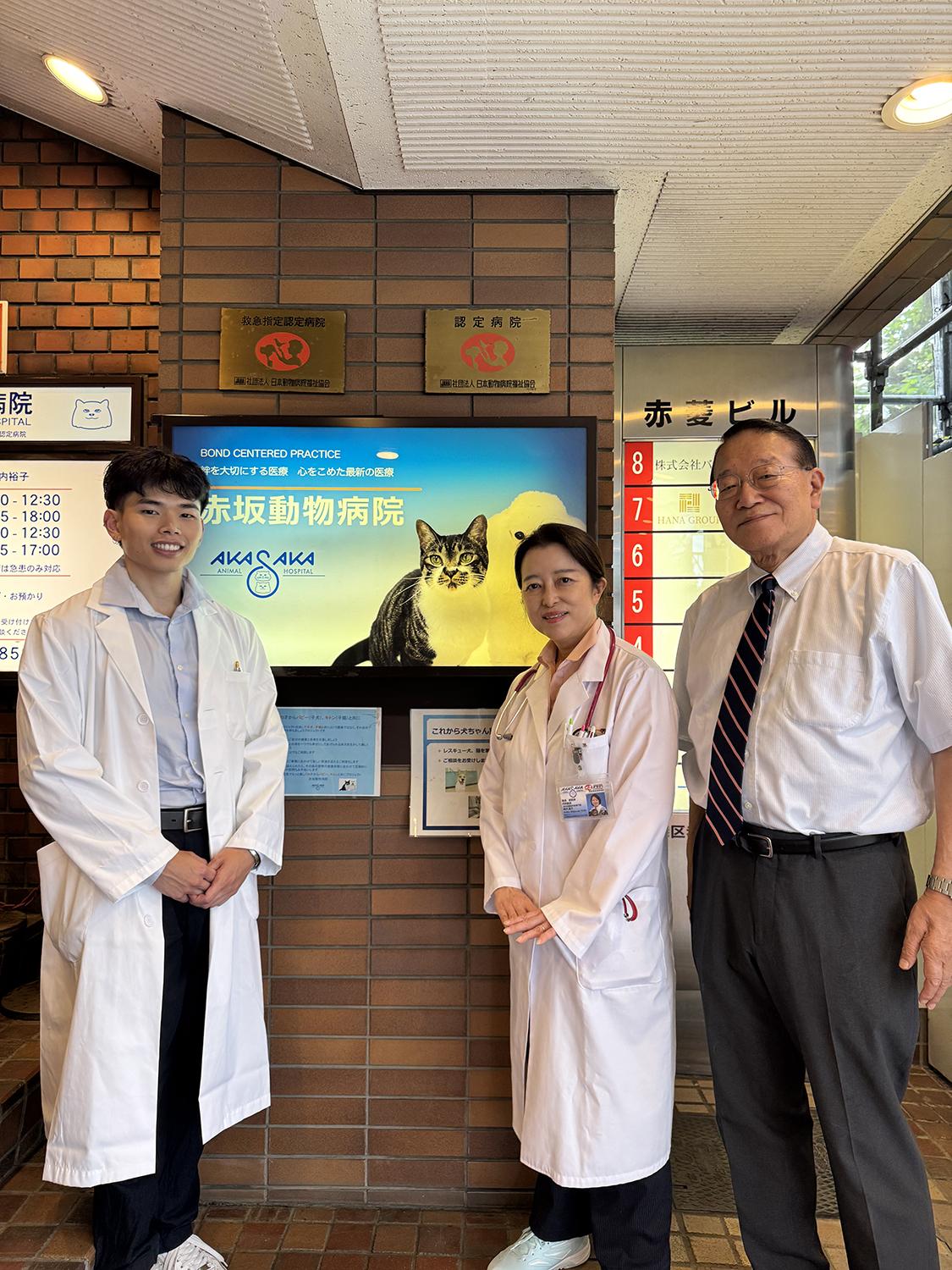 Three people standing in front of a video monitor mounted on a wall that shows a cat.