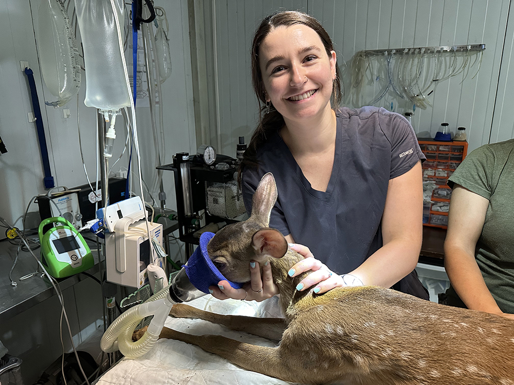 Juliana giving oxygen to a foal.