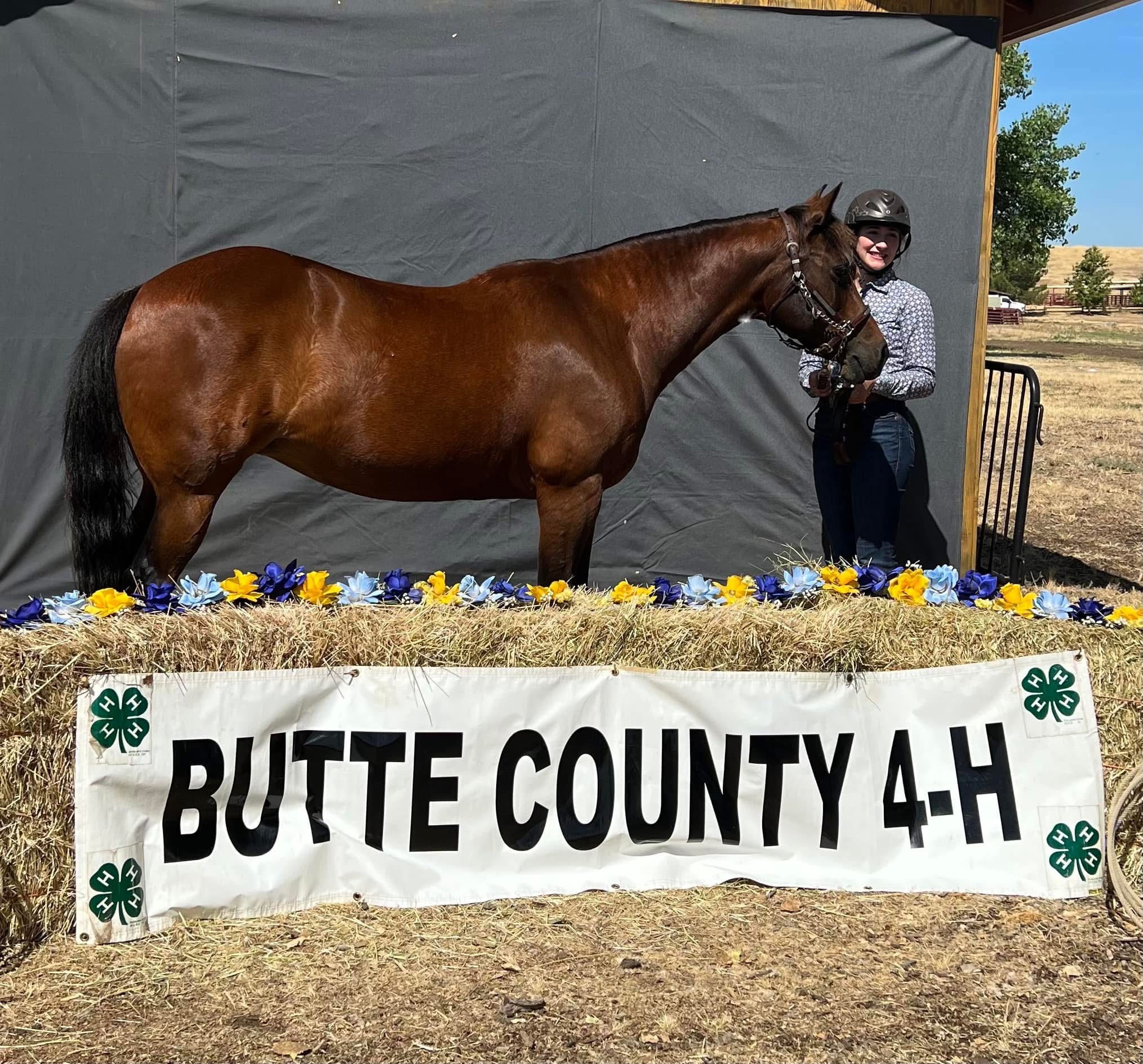 Person in helmet beside brown horse on hay bale with 'Butte County 4-H' banner