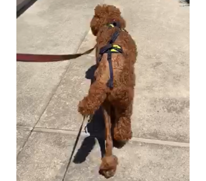 Walking post-surgery