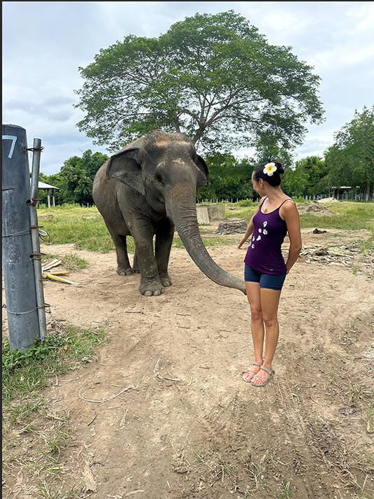 A person standing with an elephant.