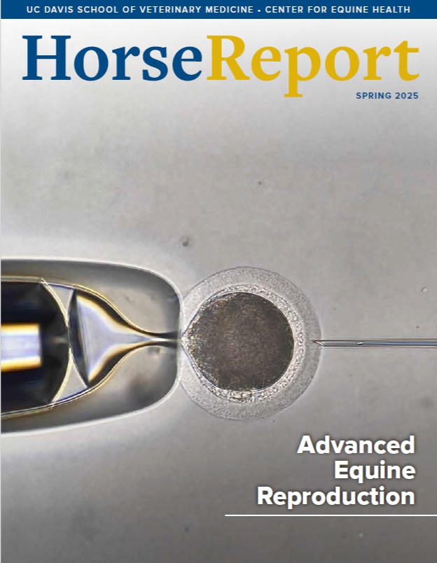 Spring 2025 Horse Report Cover