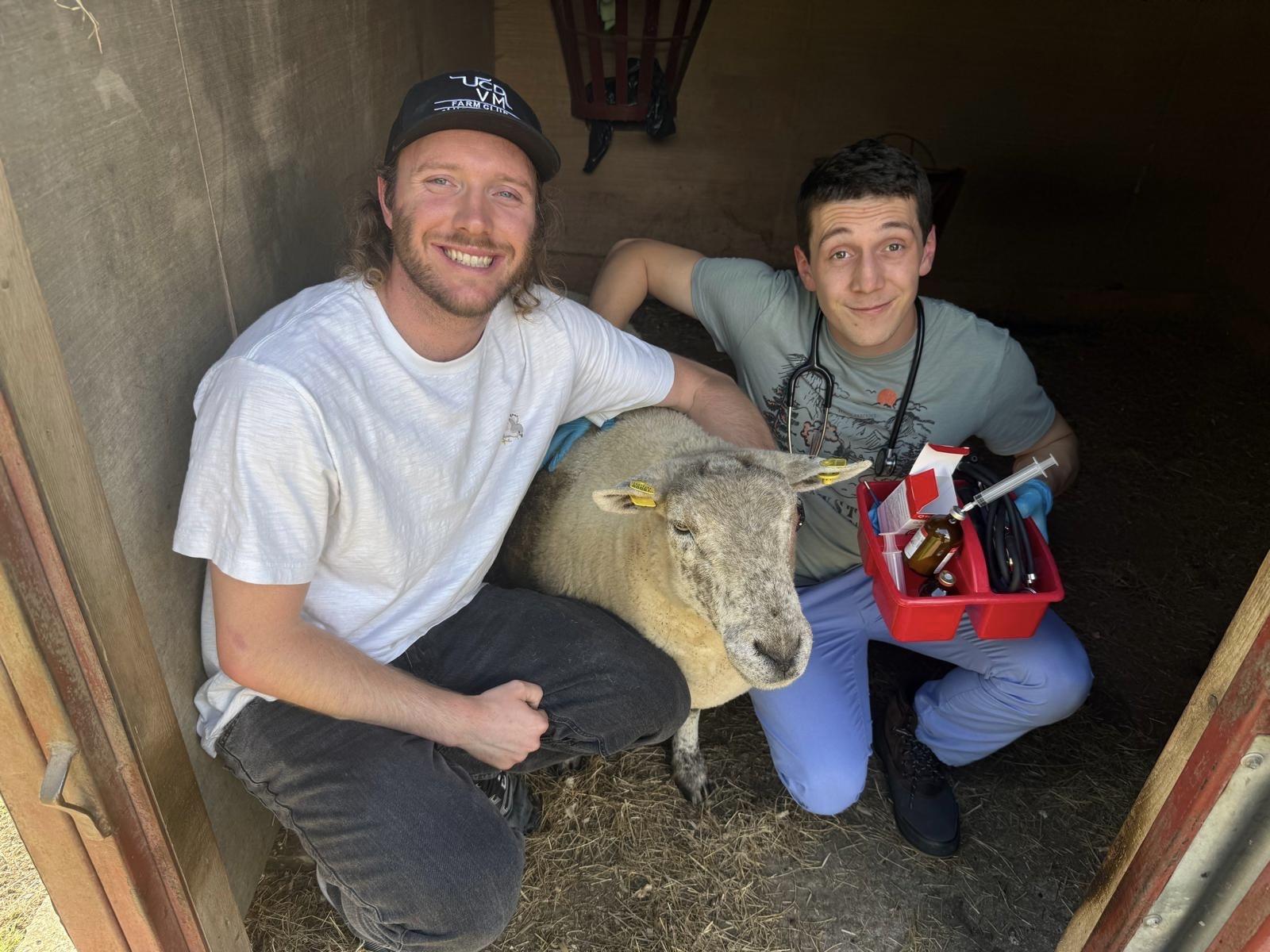 Two people with a goat and in a manager and a medical kit.
