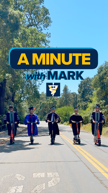 Five people in graduation robes walking down a sunlit, tree-lined street under a blue sky