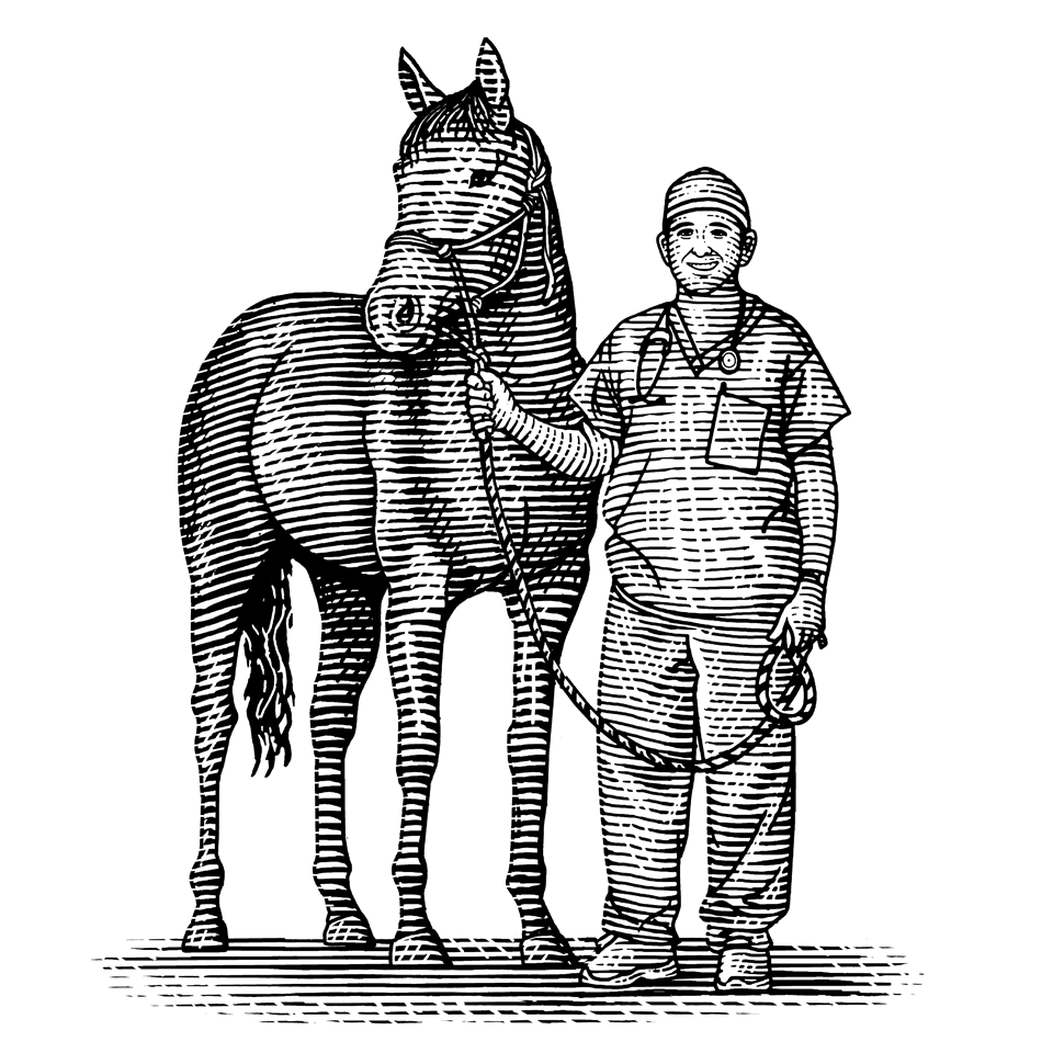 Steven Noble Illustration of a vet with a horse.