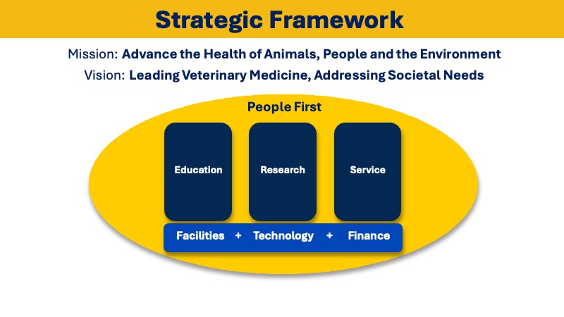 strategic framework