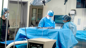 A view through the glass of a procedure at the Advanced Veterinary Surgery Center.