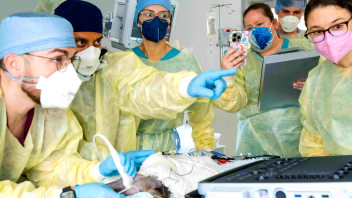 Surgeons performing a procedure on a lemur at the Advanced Veterinary Surgery Center.