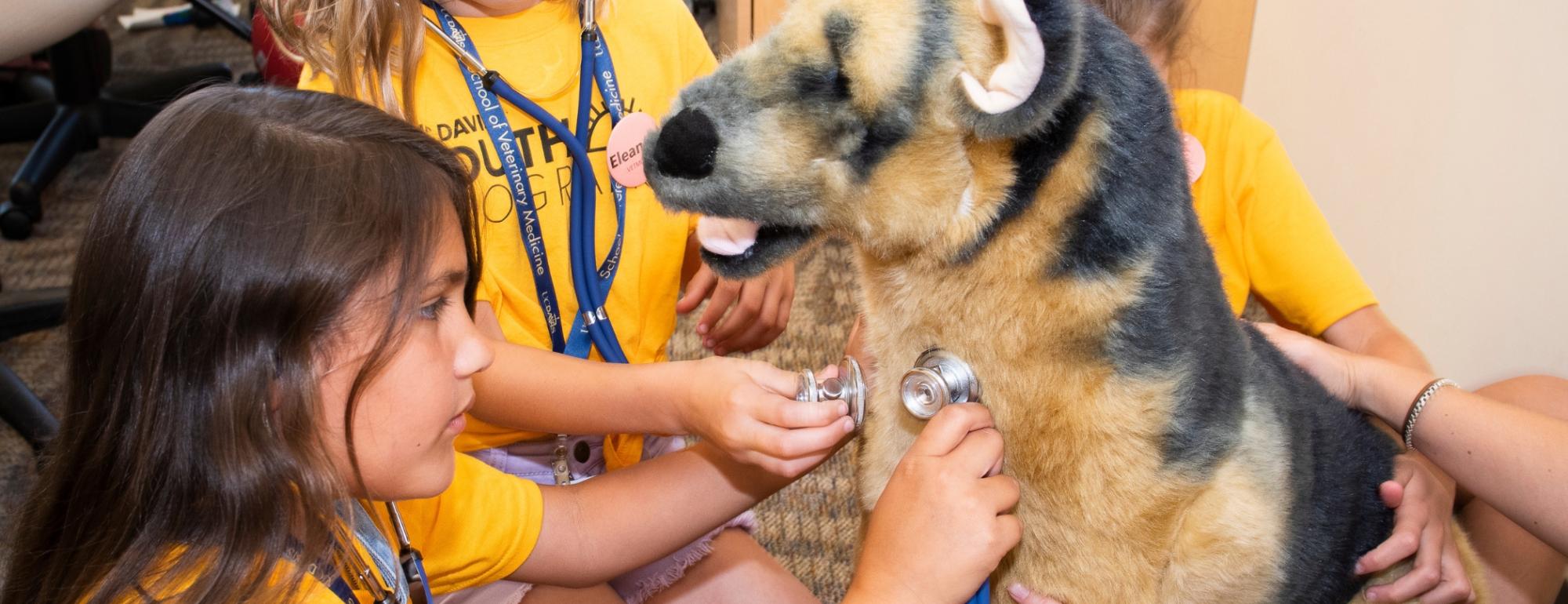 Young aspiring vet students using a stethoscope on a stuffed animal.