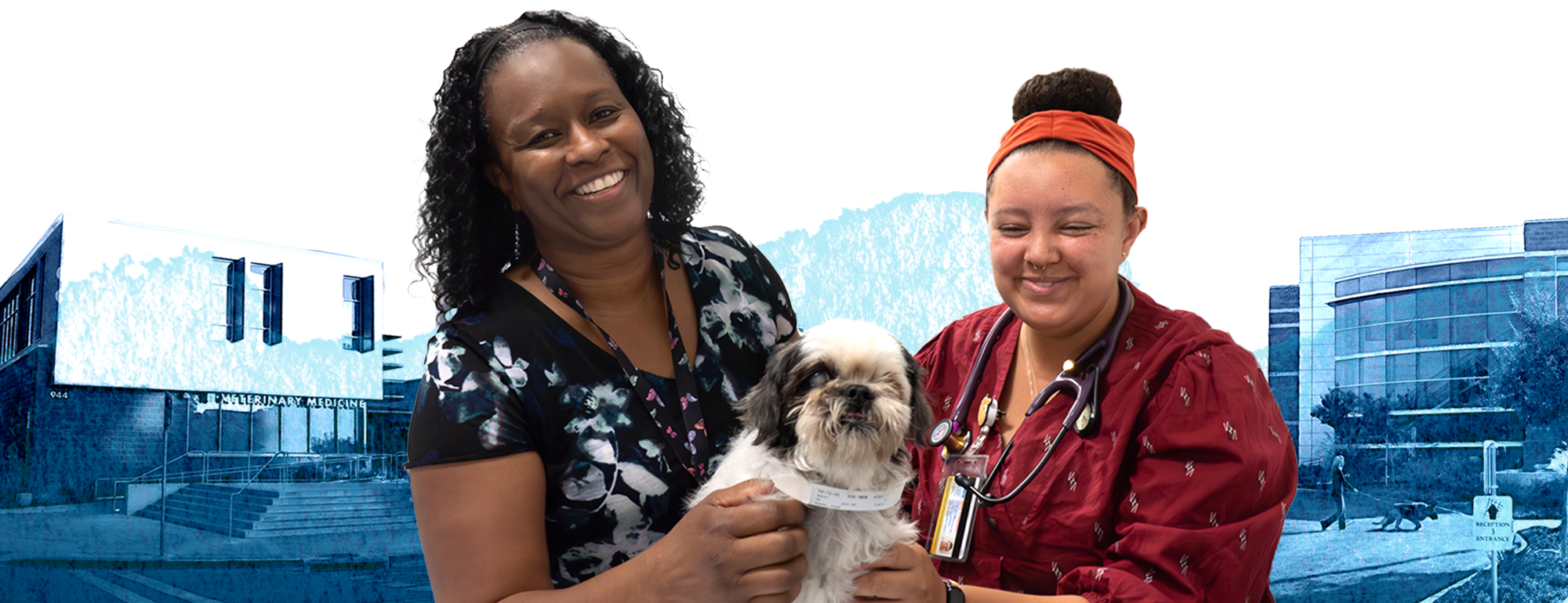 Two vets holding a dog with a watercolor scene of the vet med campus behind them.