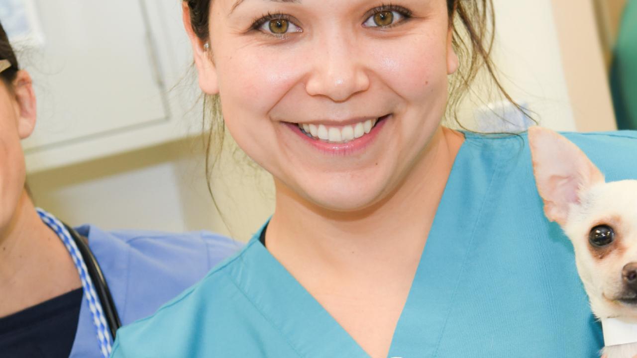 So, You Want to be a Veterinarian School of Veterinary Medicine