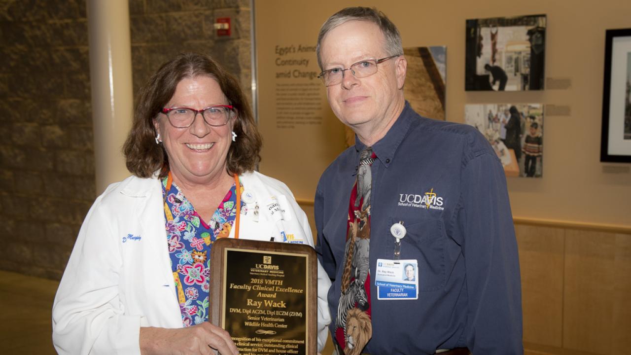 Drs. Joanne Paul Murphy presents Dr. Ray Wack with the 2018 Clinical Faculty Excellence Award. Drs. Joanne Paul Murphy and Ray Wack