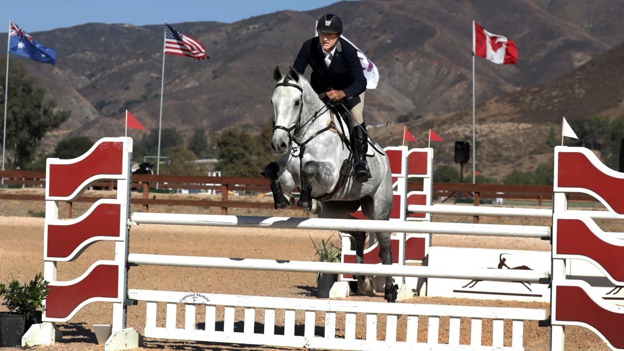 Fred in action at a three-day eventing competition. Fred in action at a three-day eventing competition.