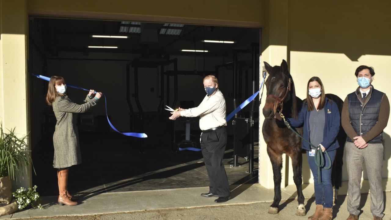 (left to right) Dr. Carrie Finno, Dean Michael Lairmore, Dr. Ghislaine Dujovne, and Dr. Pouya Dini celebrate the opening of new Equine Reproduction Service facilities at the school's Center for Equine Health. veterinarians at a ribbon cutting ceremony