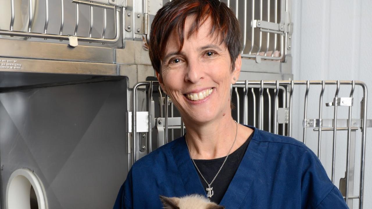 Dr. Kate Hurley is a pioneer in shelter medicine.