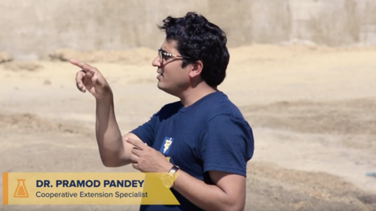 Dr. Pramod Pandey