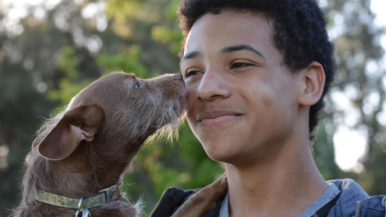 A boy and his pet dog