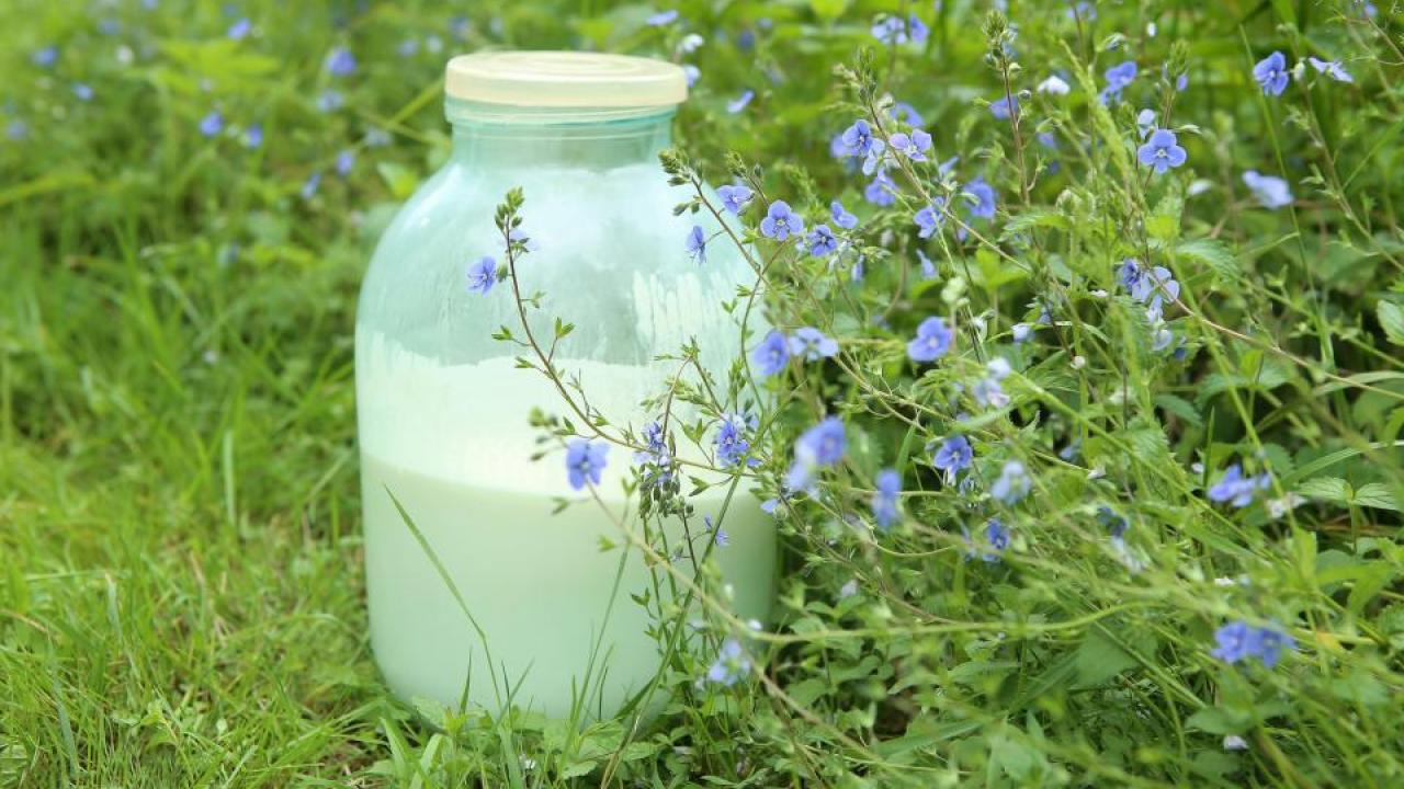 bottle of milk