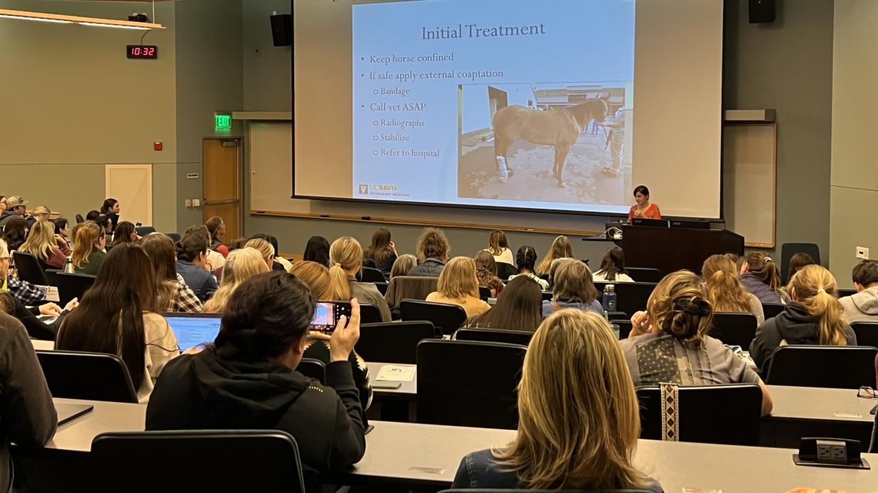 veterinarian lecturing