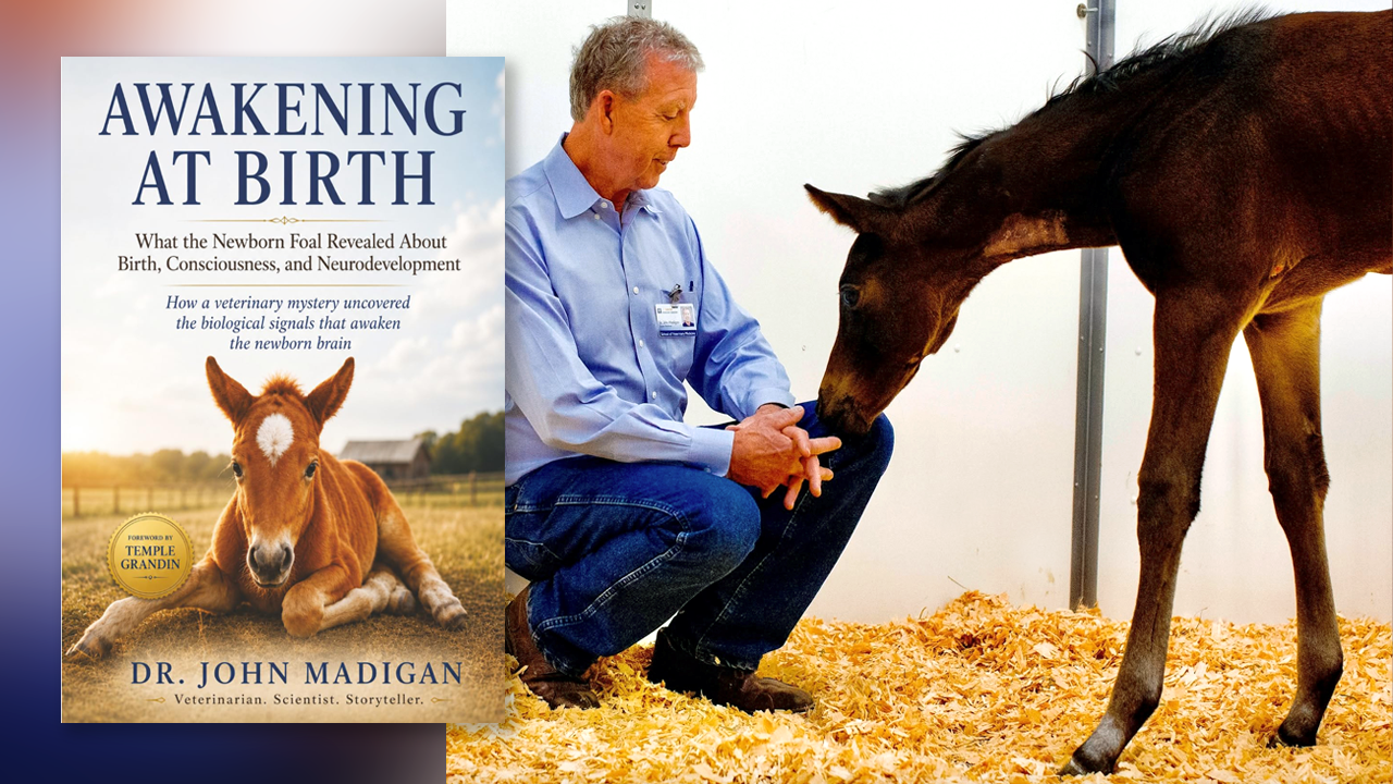 Dual image of the book Awakening at Birth and author Dr. John Madigan with a foal