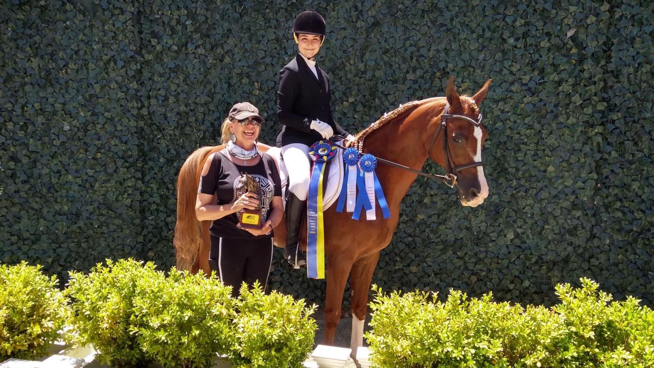 rider on horse with trophies and ribbons displayed