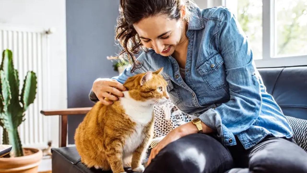 woman sitting on couch with cat
