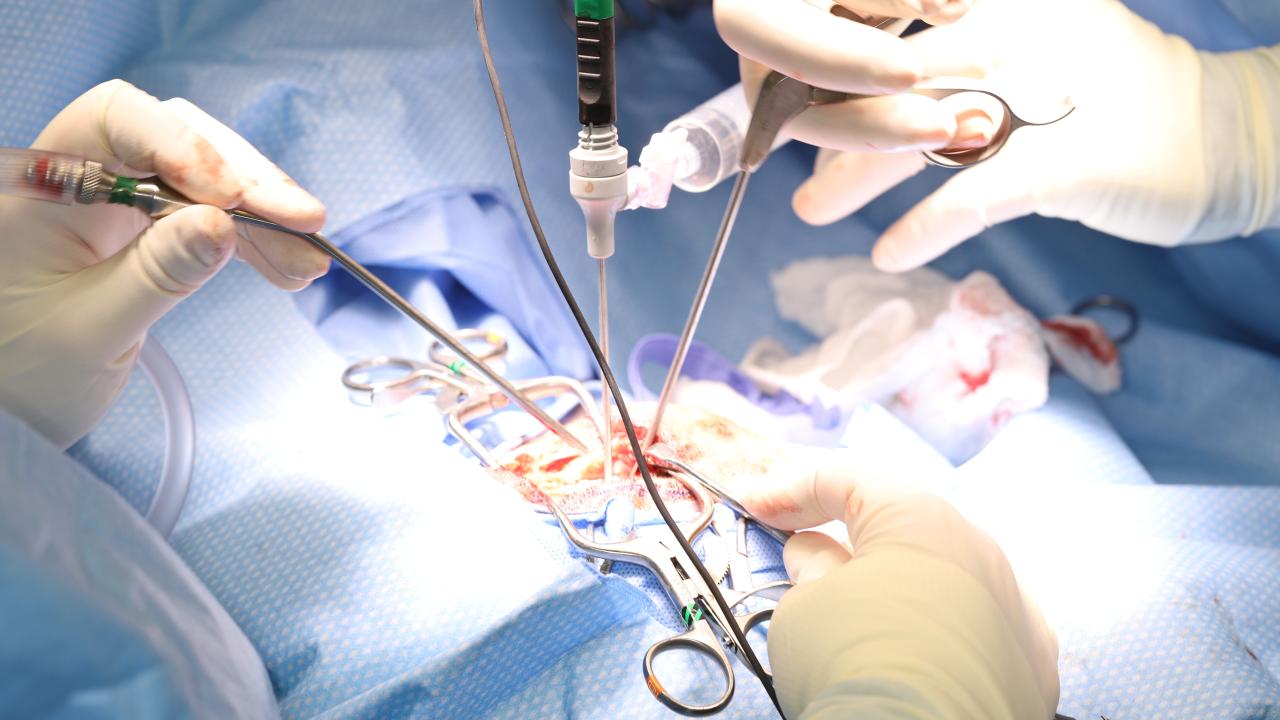 Surgical operation with gloved hands and instruments on a draped patient, surgical photograph