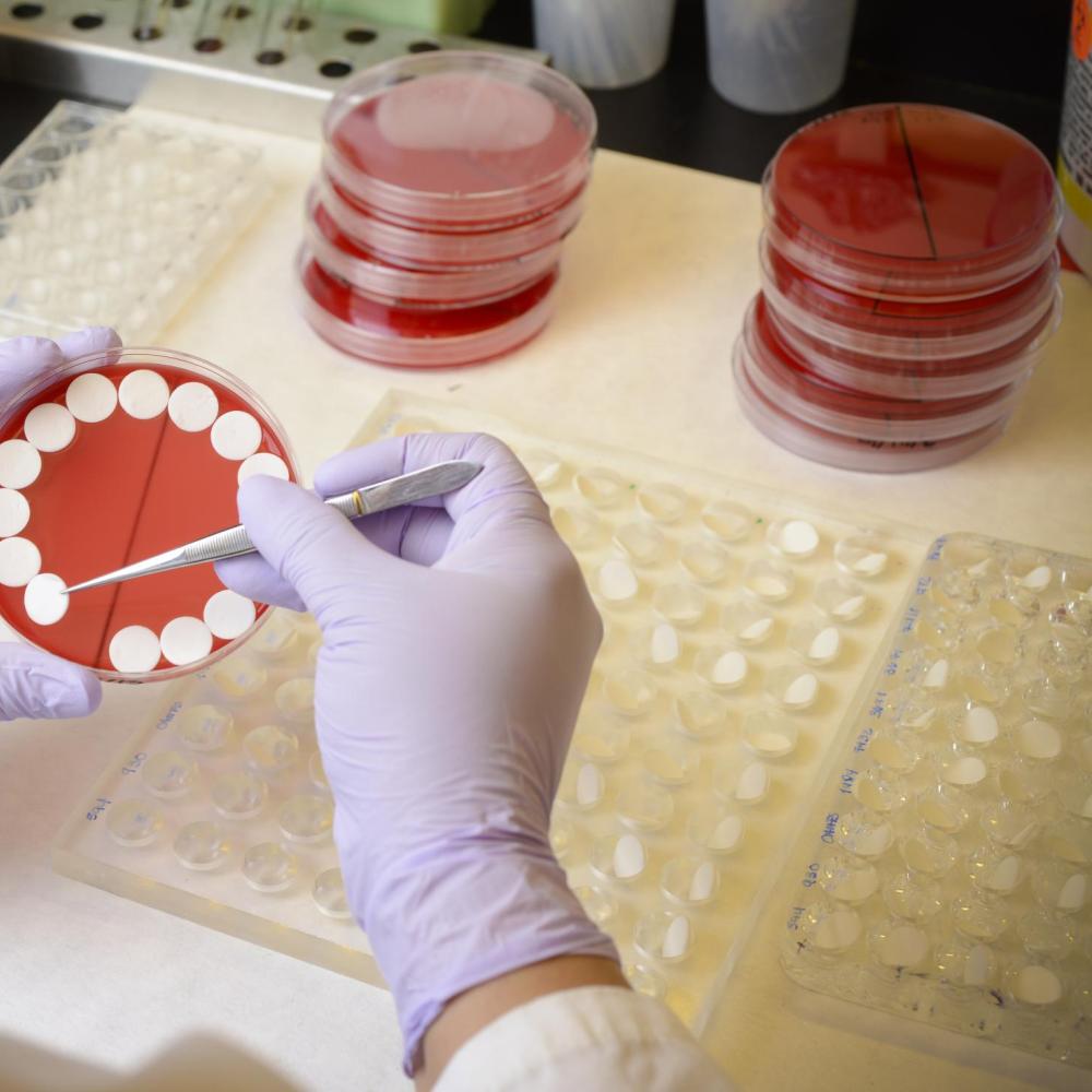 Clinical Lab Services