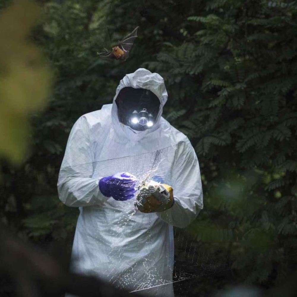 Person in white hazmat suit with purple gloves holding a device in a dark, dense forest