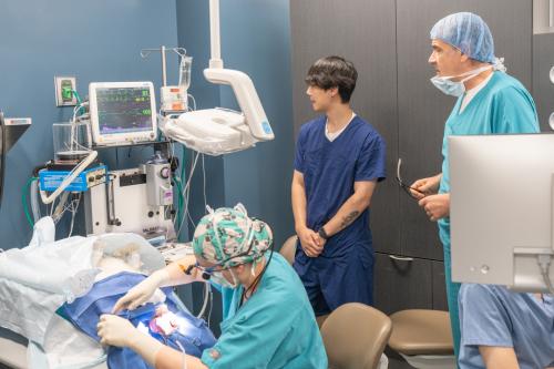 veterinarians looking at monitor over a dog patient