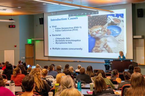 woman at podium speaking to full lecture hall