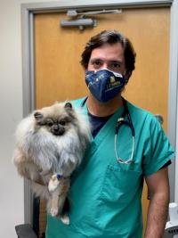 veterinarian holding a dog