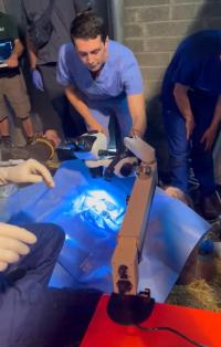 People examining an animal covered by a blue tarp.