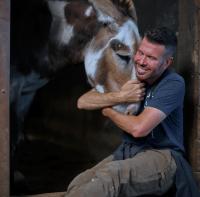 man hugging donkey