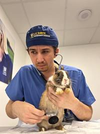 Christian examining a rabbit.