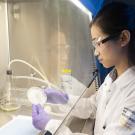 Veterinarian working in a laboratory