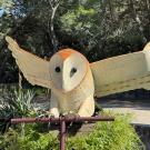 CRC owl art