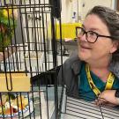 veterinary technician looking at parrot in cage