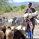 woman with livestock in Tanzania