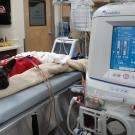 A dog undergoes a hemodialysis treatment at the UC Veterinary Medical Center – San Diego.